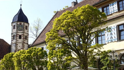 Schloss Haigerloch - Eingang Restaurant